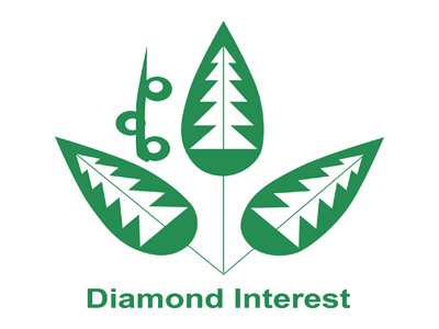 Diamond Interest 20th Anniversary 2015